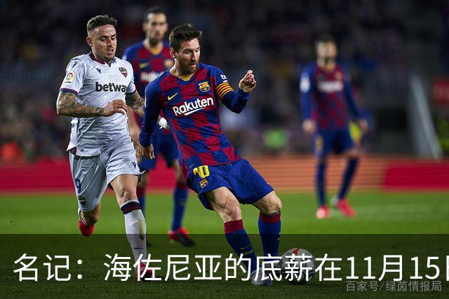 名记：海佐尼亚的底薪在11月15日之前是无保障合约